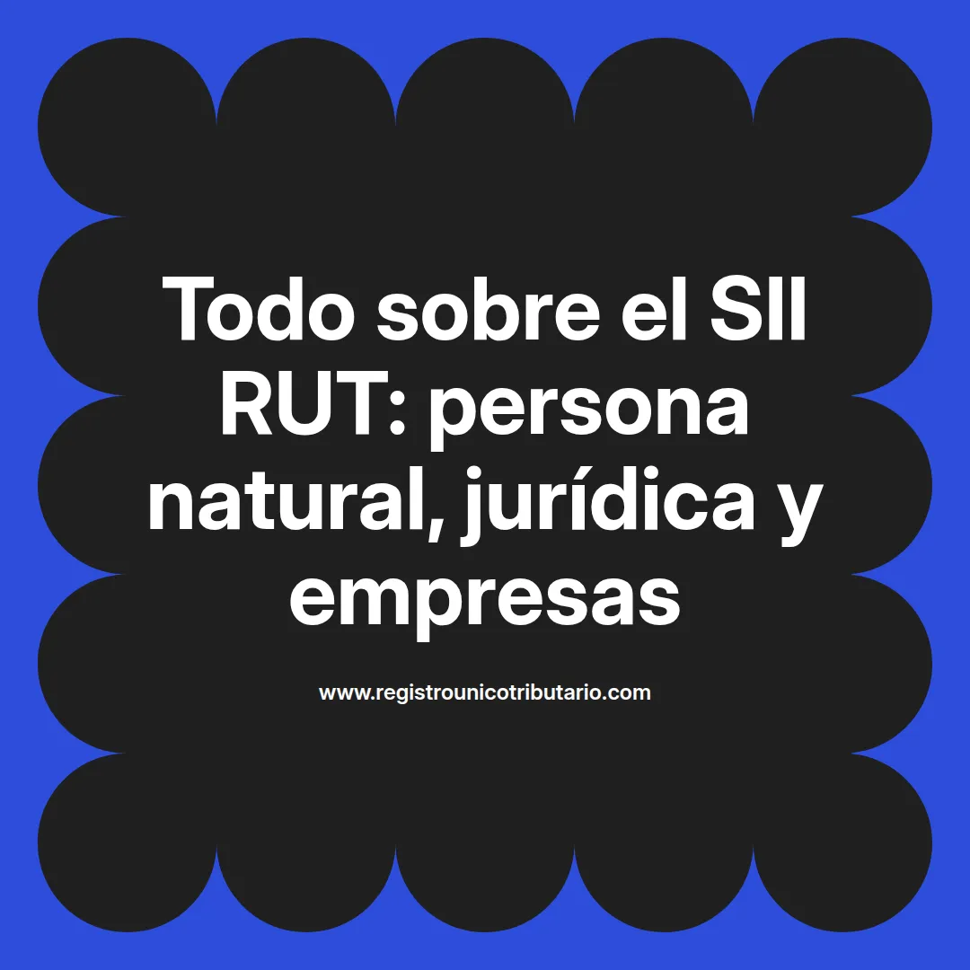 Imagen destacada que ilustra el proceso de obtención del sii rut para personas naturales y jurídicas