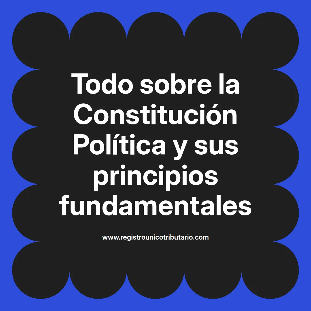 imagen destacada del post con un texto en el centro que dice Todo sobre la Constitución Política y sus principios fundamentales y abajo del texto aparece el url de sitio web que es registro unico tributario punto com