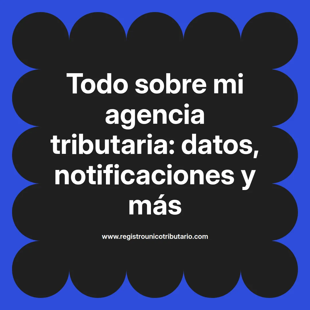 Imagen destacada sobre mi agencia tributaria y estado de mi declaración de renta en línea