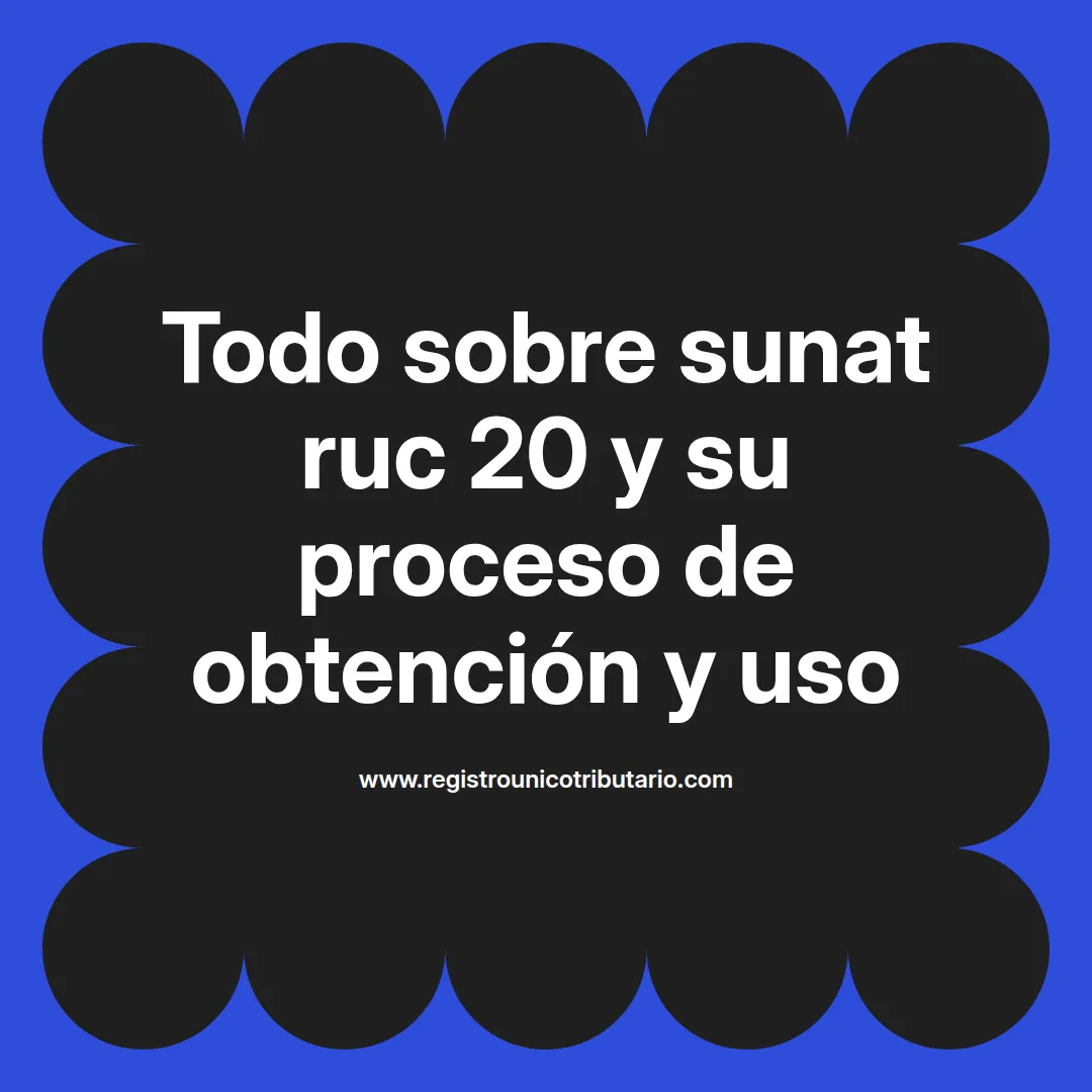 Imagen destacada sobre el registro y requisitos para sunat ruc 20 y su declaración correspondiente